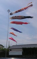 koinobori.jpg